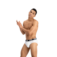 Lenjerie De Corp Puma Underwear Basic Brief 2P