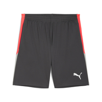 Pantaloni Scurți Puma IndividualLIGA