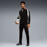 Costum Puma IndividualLIGA