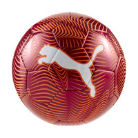 Puma FINAL Graphic Ball