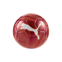 Puma FINAL Graphic Miniball