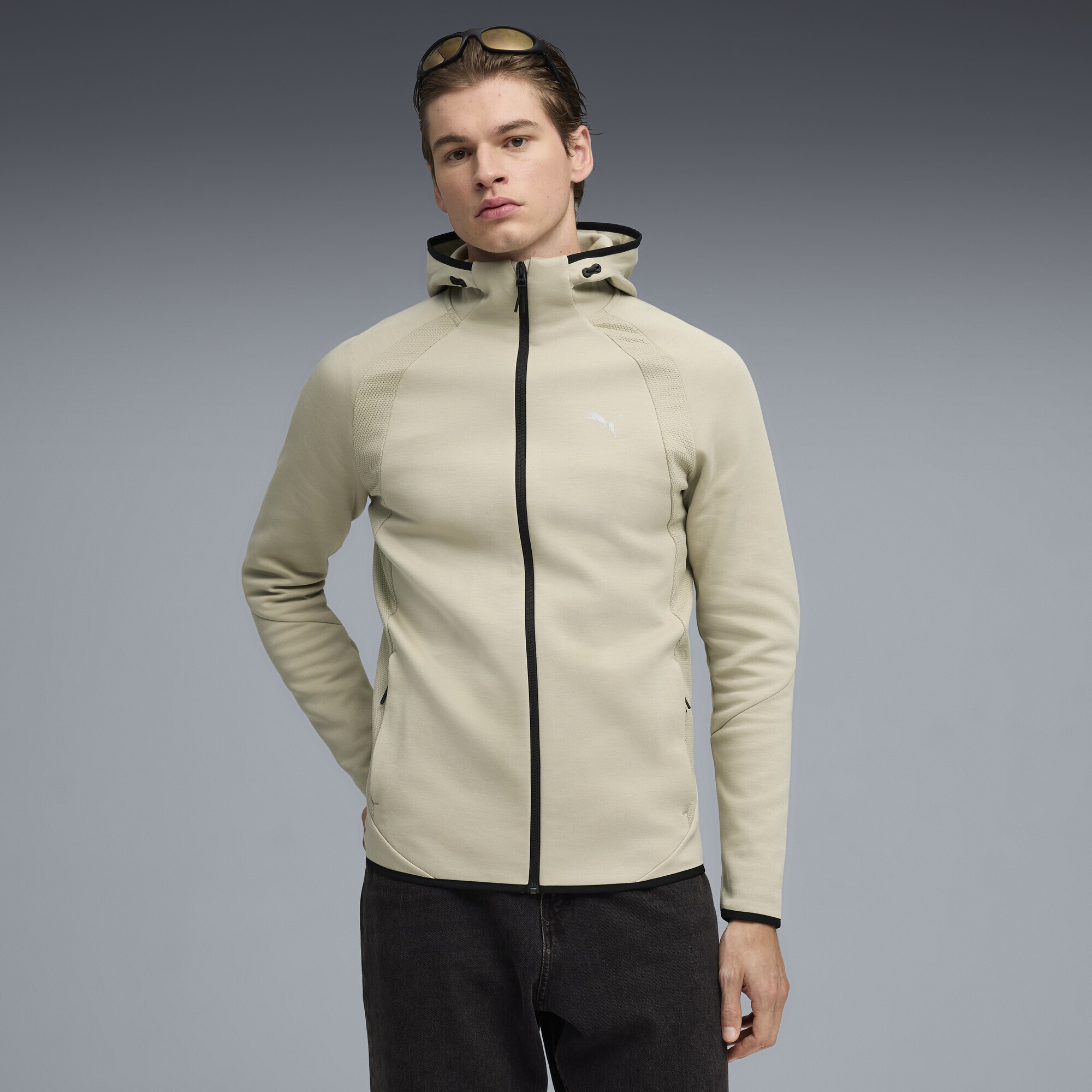 Puma Evostripe Full-Zip Hoodie ( 69219061 ) in Moldova for the