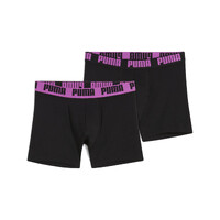 Lenjerie De Corp Puma Everyday Basic Boxers 2P