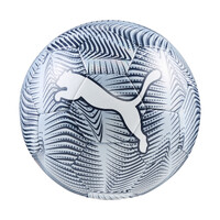 Puma FINAL Graphic