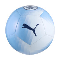 Puma Manchester City FC Ess