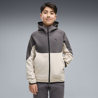 Hanorac Puma Pumatech Elevated Full-Zip