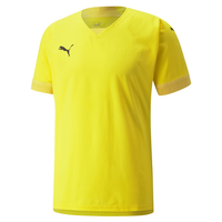 Футболка Puma teamFINAL Jersey